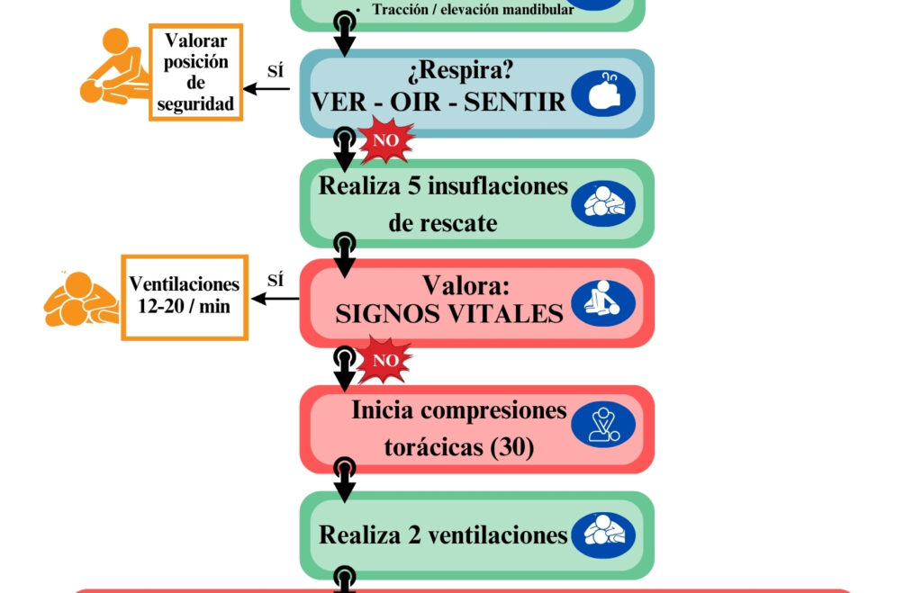 3 ALGORITMO DE REANIMACIÓN CARDIOPULMONAR BÁSICA PEDIÁTRICA 2 REANIMADORES para personal no sanitario
